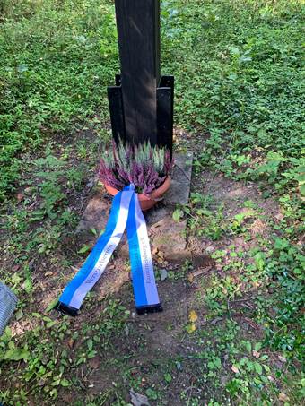 Ein Bild, das drau�en, Gras, Pflanze, Gel�nde enth�lt.