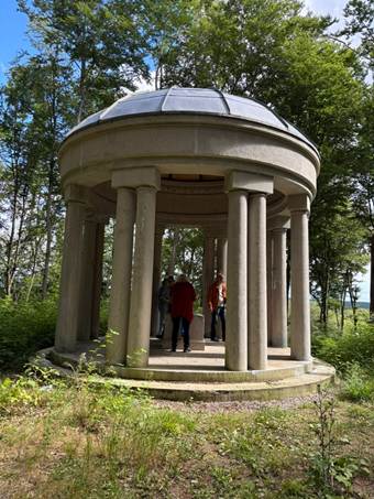 Ein Bild, das drau�en, Baum, Himmel, Pflanze enth�lt.