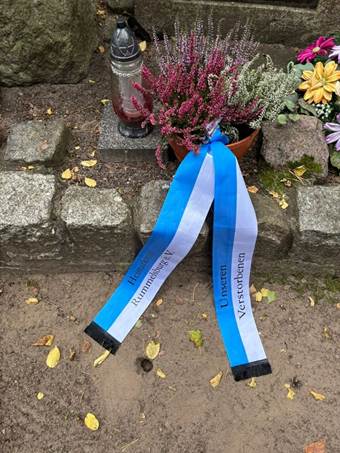 Ein Bild, das Gel�nde, drau�en, Pflanze, Blume enth�lt.