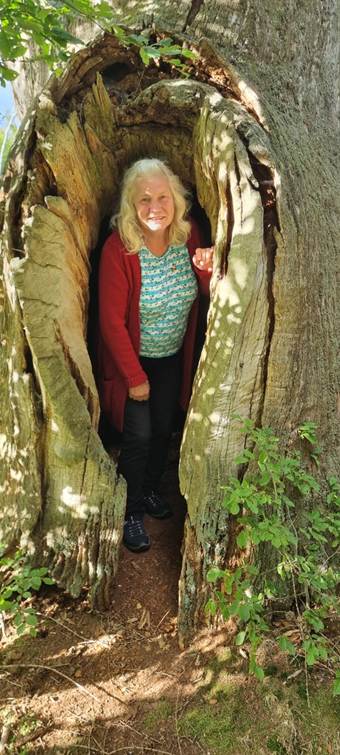 Ein Bild, das Baum, drau�en, Kleidung, H�hle enth�lt.

KI-generierte Inhalte k�nnen fehlerhaft sein.