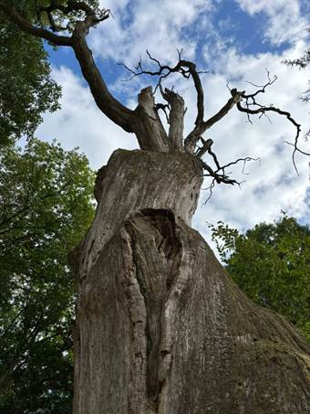 Ein Bild, das drau�en, Kleidung, Person, Schuhwerk enth�lt.