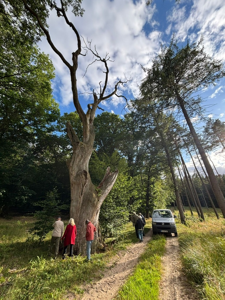Ein Bild, das drau�en, Wolke, Himmel, Wasser enth�lt.