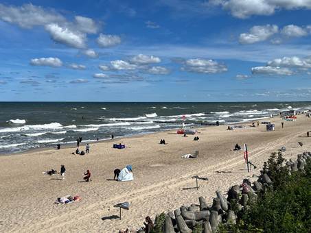 Ein Bild, das drau�en, Text, Pflanze, Grab enth�lt.