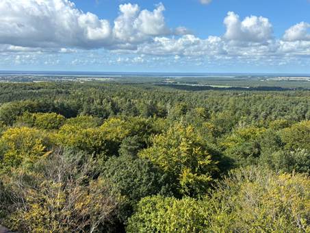 Ein Bild, das drau�en, Geb�ude, Baum, Himmel enth�lt.